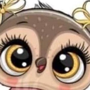 Meet your Posher, Rockie and priscilla